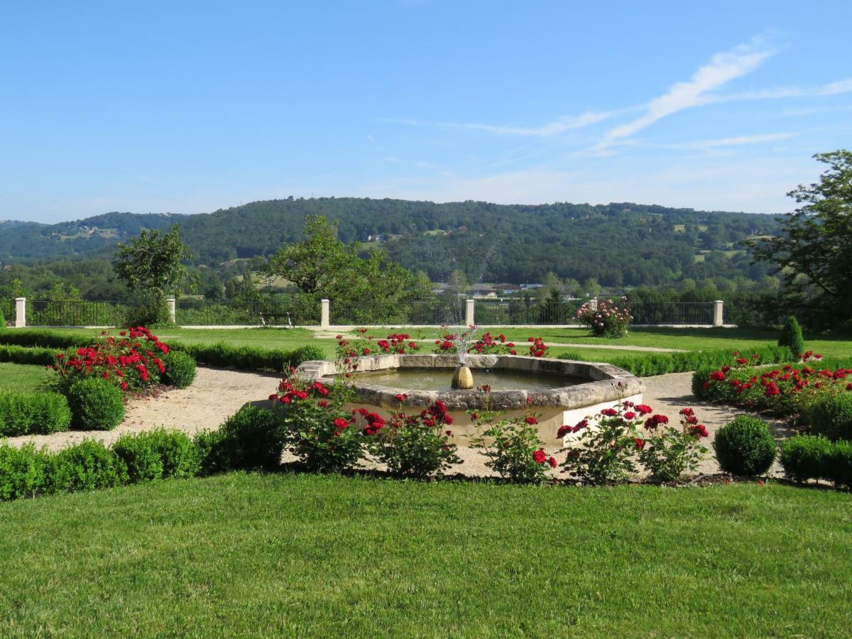 Chateau De Gaubert Bed and Breakfast Terrasson Εξωτερικό φωτογραφία